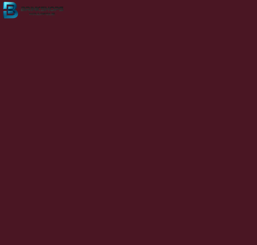 Oracal 751C- 340 Chestnut