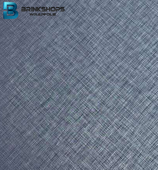 SOIF interior DG3504 metal saffiano magic blue