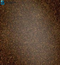 KPMF K75479 Copper Black Starlight Gloss