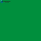Oracal 751C- 062 Light Green