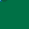 Oracal 751C- 604 Cactus Green
