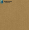 LG Interior Film RP06 (Brushed Gold)