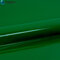 Siser P.S. Film EasyWeed A0009 Green