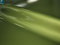 3M PWF-GP246 Gloss Iridescent Emerald Green